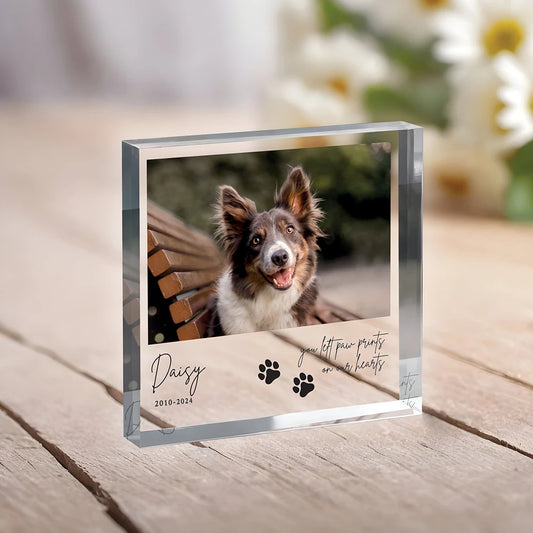 Custom Pet Memorial – Honor your beloved companion with a keepsake that keeps them close forever.