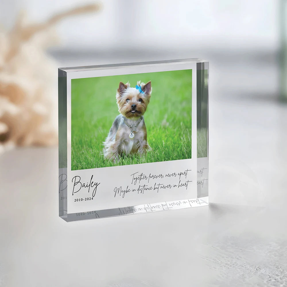 Custom Pet Memorial – Honor your beloved companion with a keepsake that keeps them close forever.