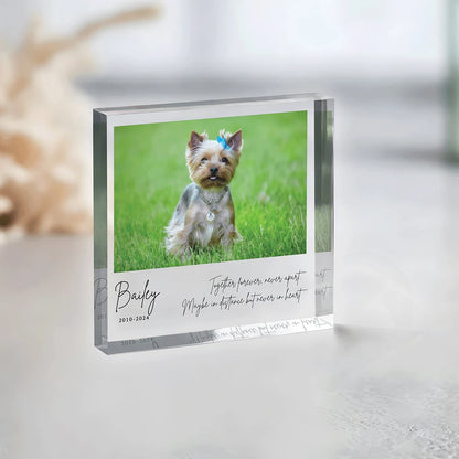 Custom Pet Memorial – Honor your beloved companion with a keepsake that keeps them close forever.